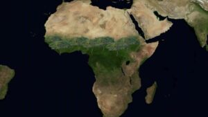 Reforestar. Muro verde África