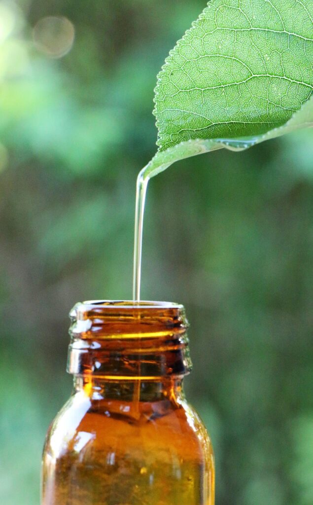 Planta medicinal