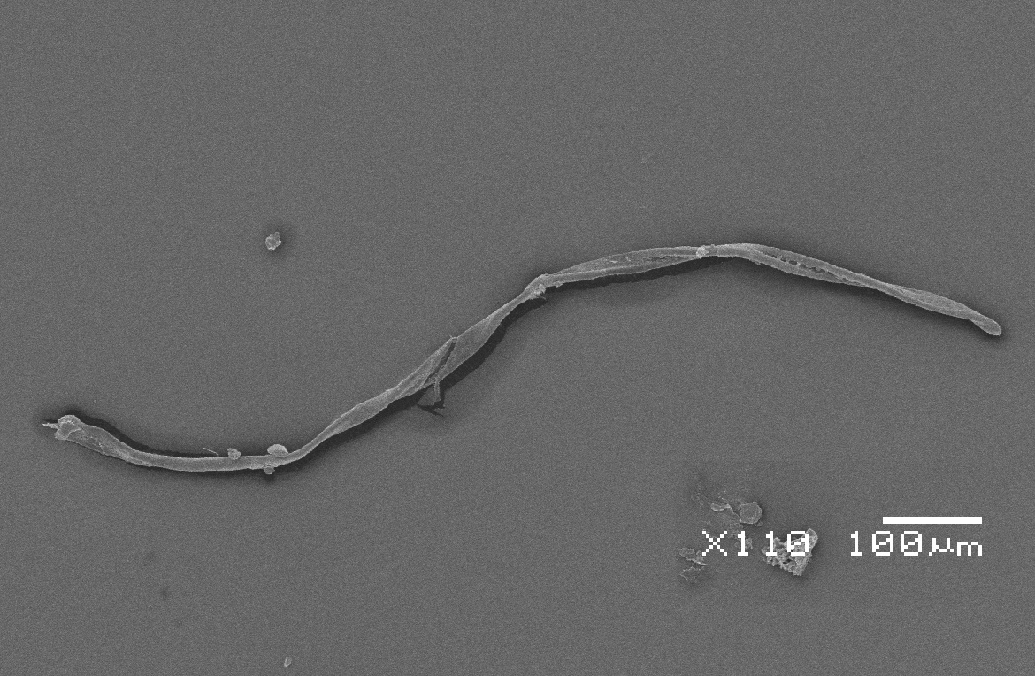 microplásticos en la vida diaria