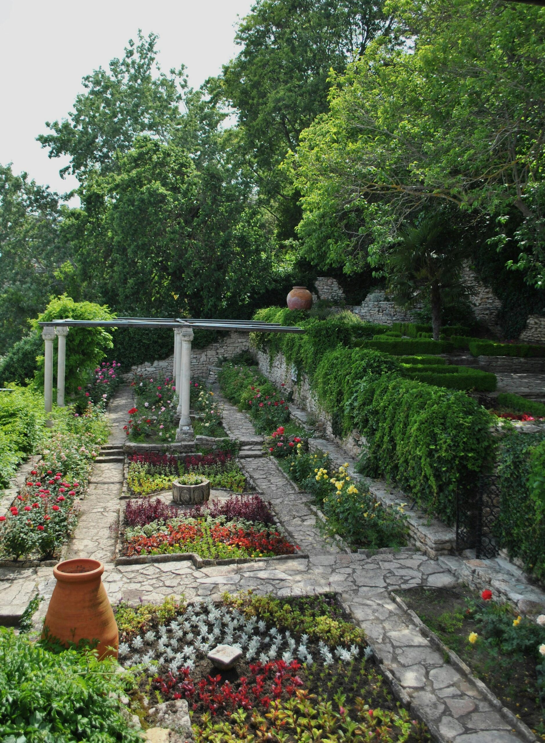 plantas que atraen polinizadores plantas que atraen polinizadores